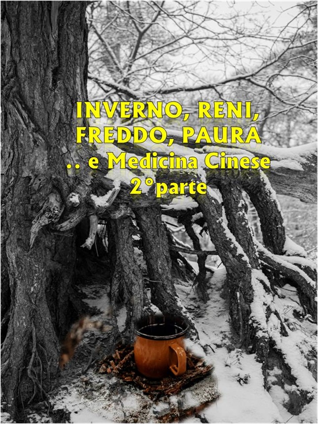 articolo sito